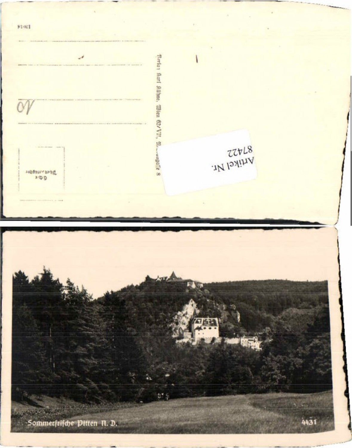 87422,Sommerfrische Pitten Partie auf d. Wiese