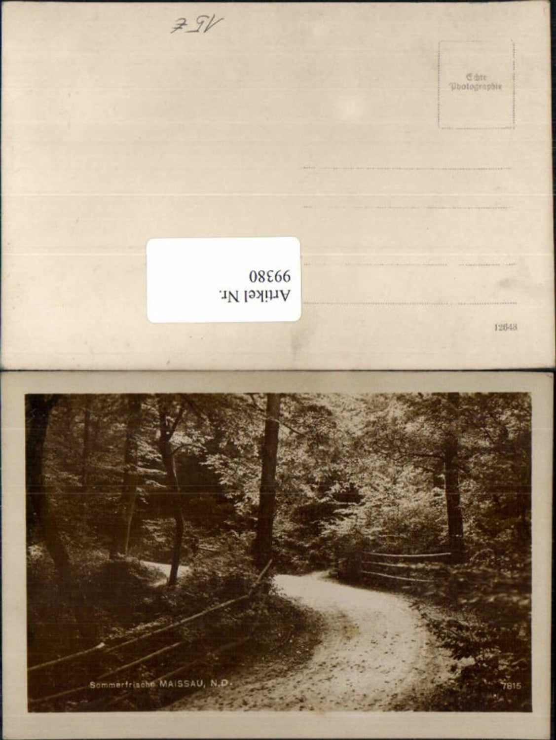 99380,Sommerfrische Maissau Partie im wald 1930