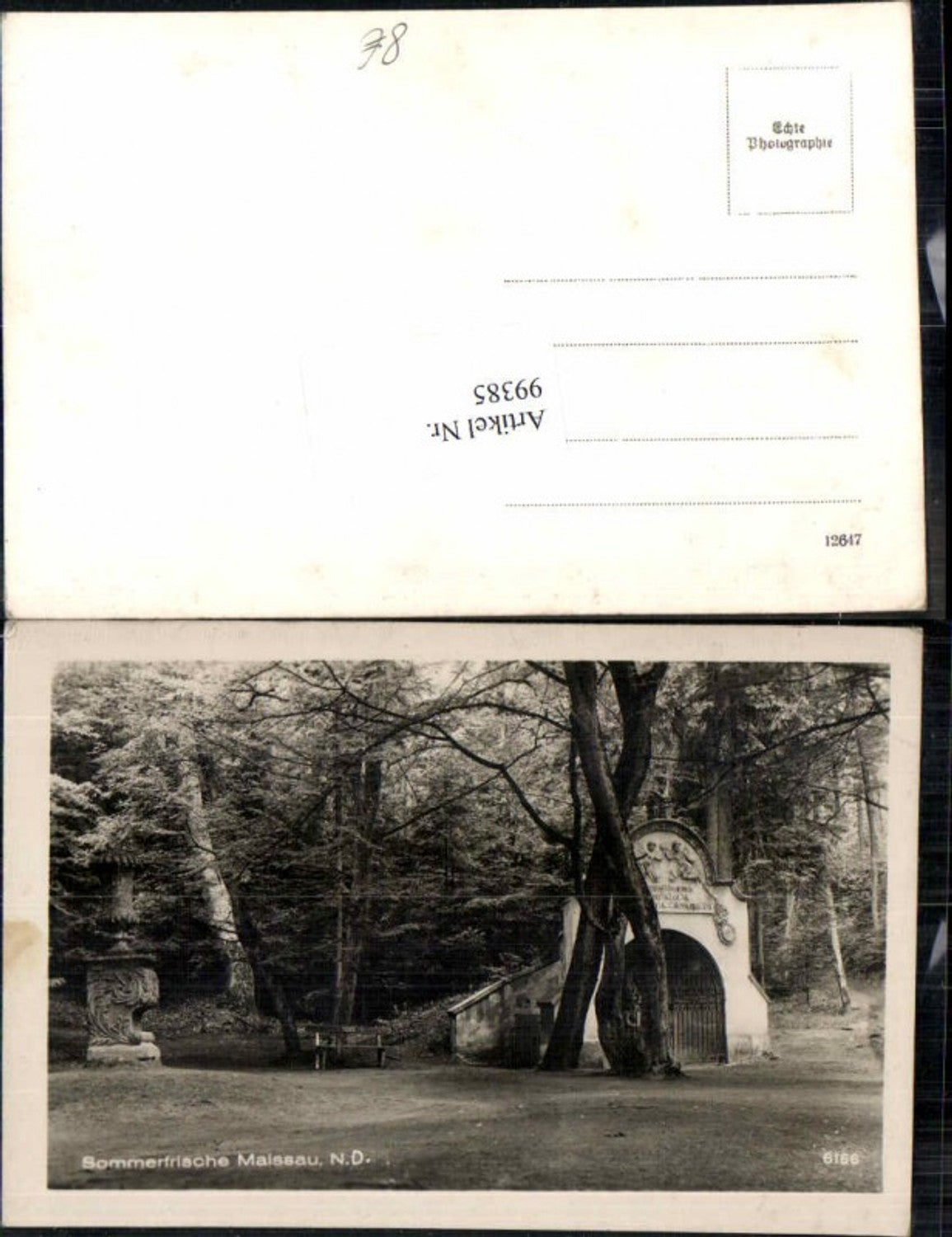 99385,Maissau Partie in Schlosspark