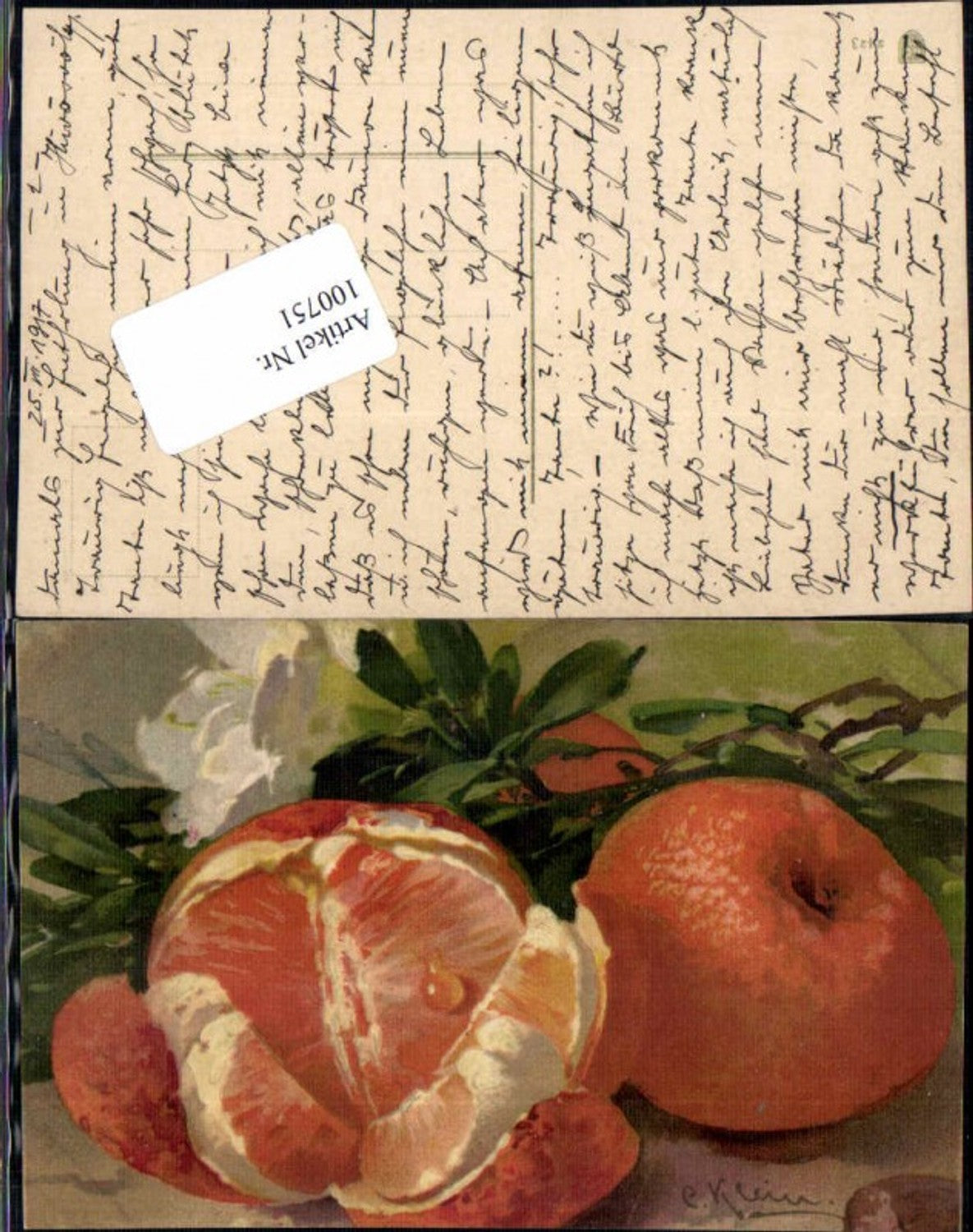 100751,Catharina Klein Orangen Obst Früchte Mandarinen G.O.M 2423