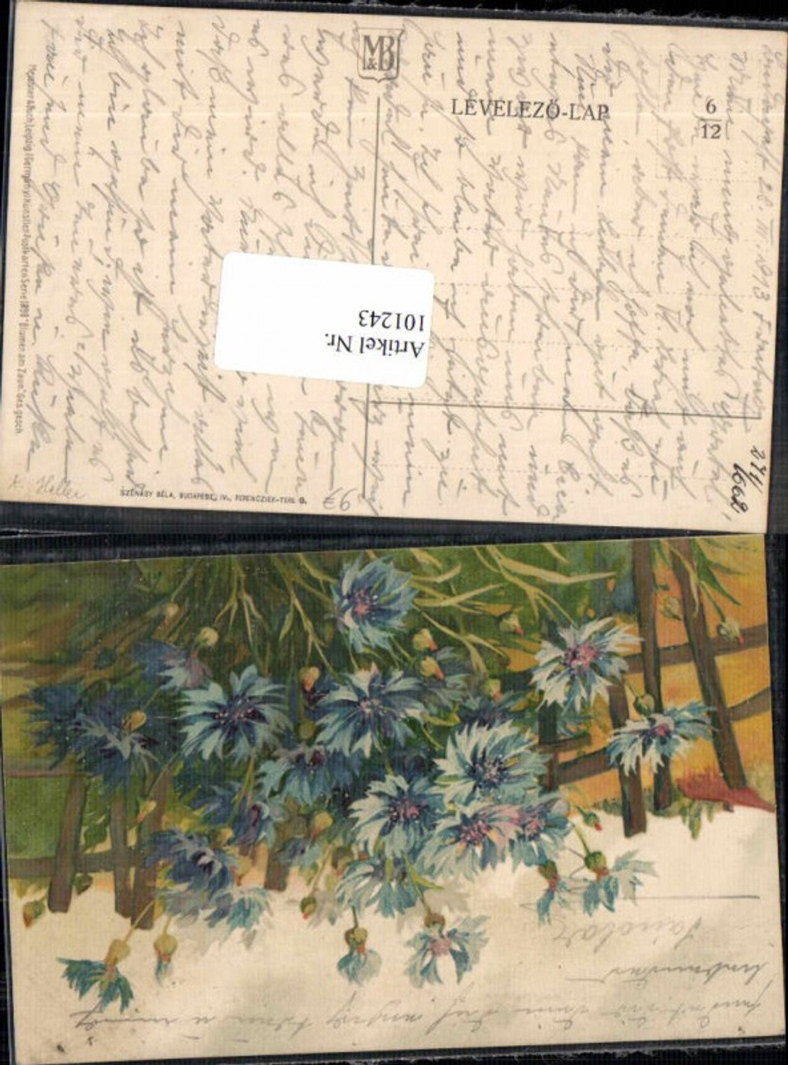 101243, Meissner & Buch 1898 A. Haller Flowers
