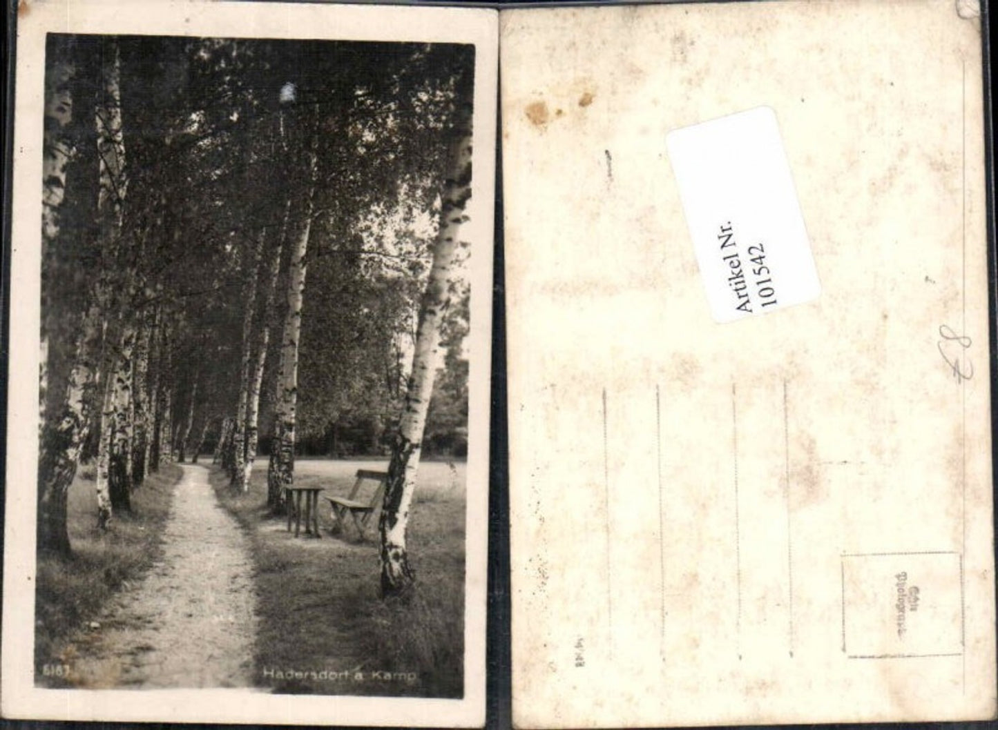 101542,Hadersdorf am Kamp Wegpartie 1930