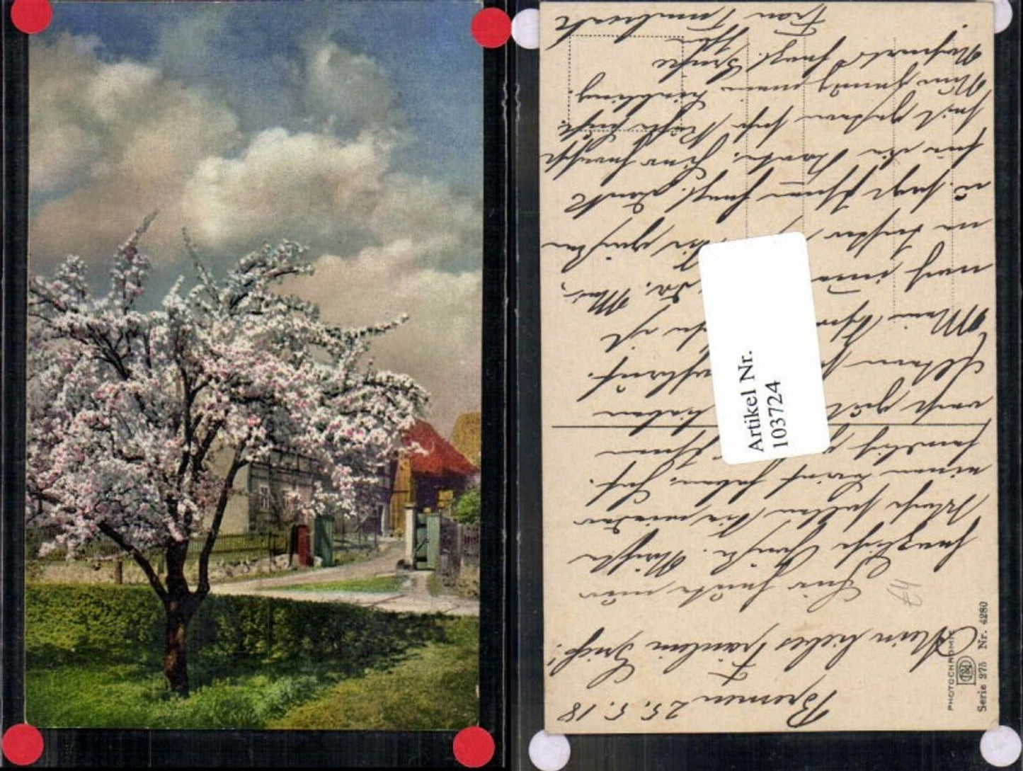 103724,Photochromie Ser 275-4280 Frühling Baum