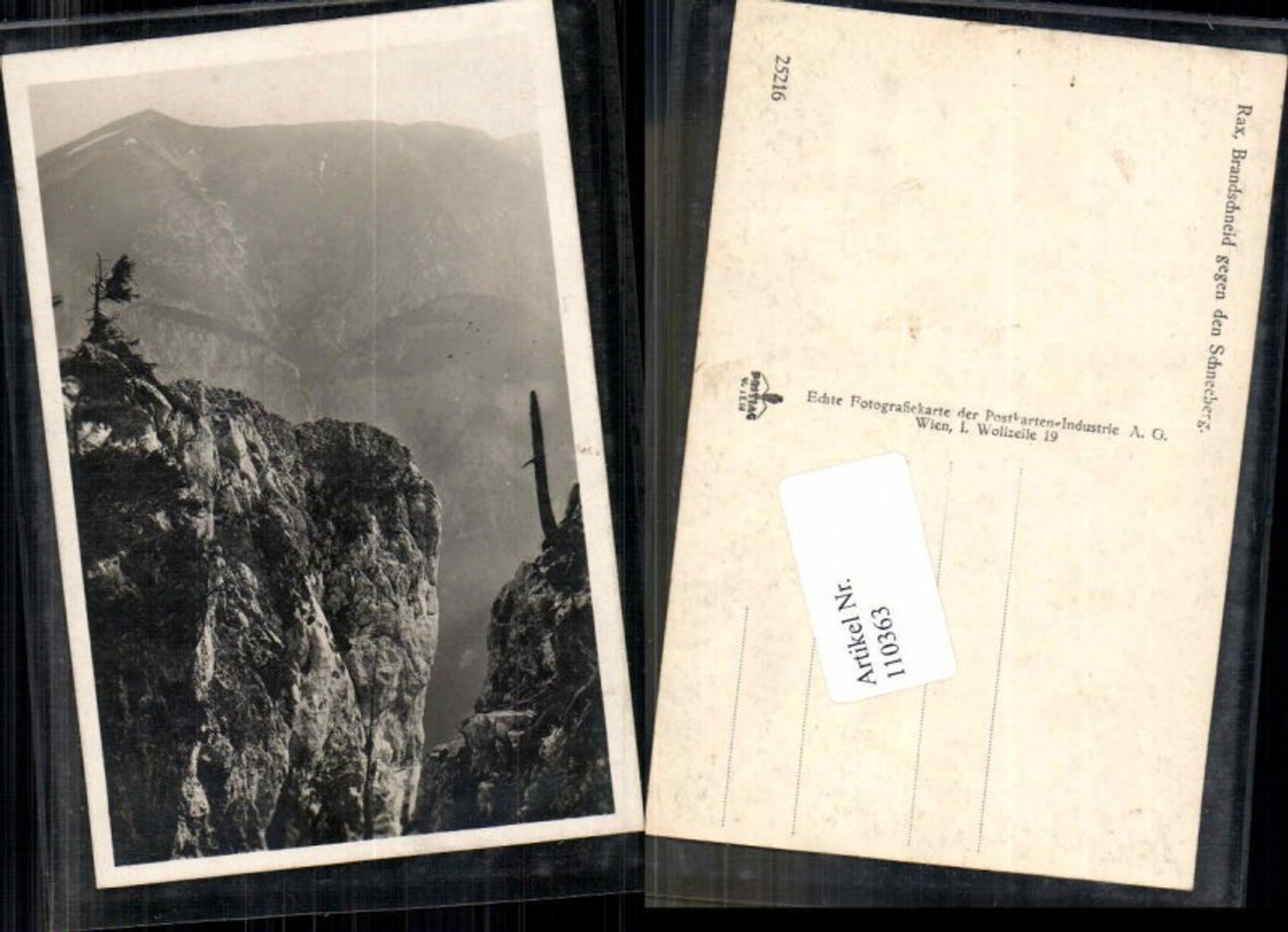 110363,Rax Brandschneid gegen Schneeberg Reichenau 1930