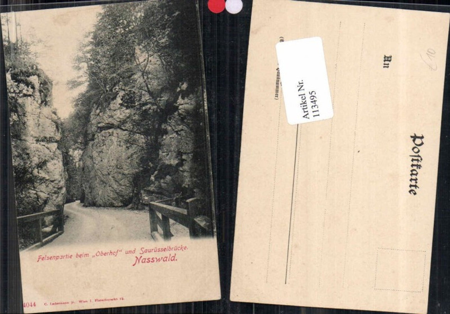 113495,Nasswald Partie im Höllenthal Höllental Oberhof Saurüsselbrücke 1900