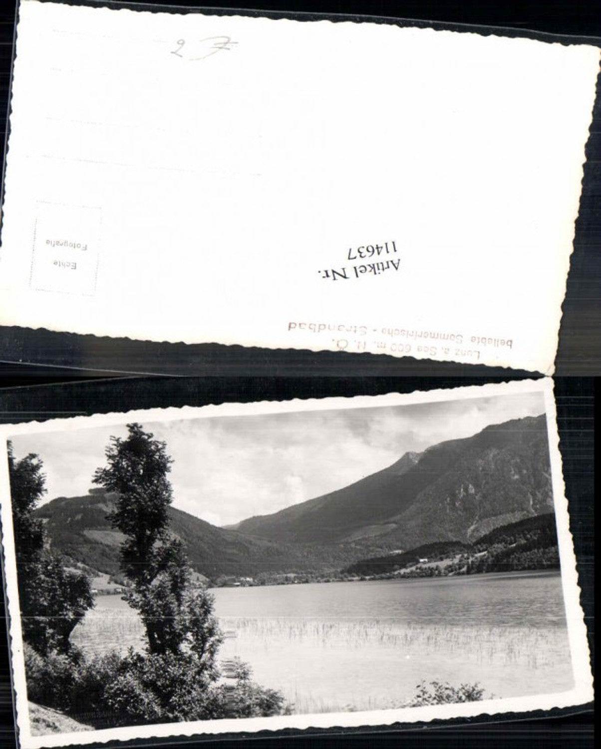 114637,Fotokarte Lunzersee Lunz am See