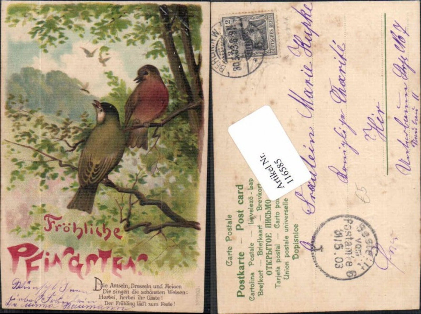 116585,Präge Litho Vögel Vogel am Zweig Drosseln Amsel Pfingsten
