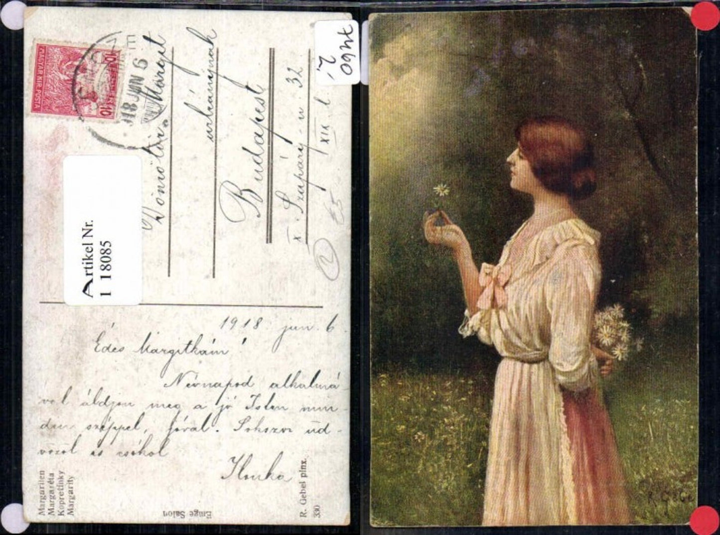 118085,R. Gebel Margariten Frau Blume Kleid Gänseblümchen