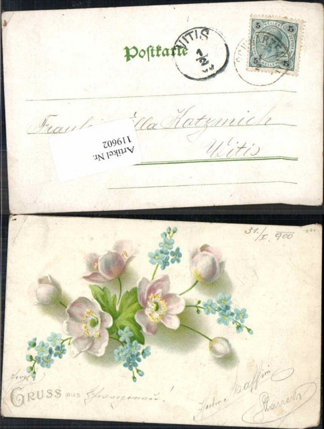 119602,Litho Gruss aus , Blume 1900