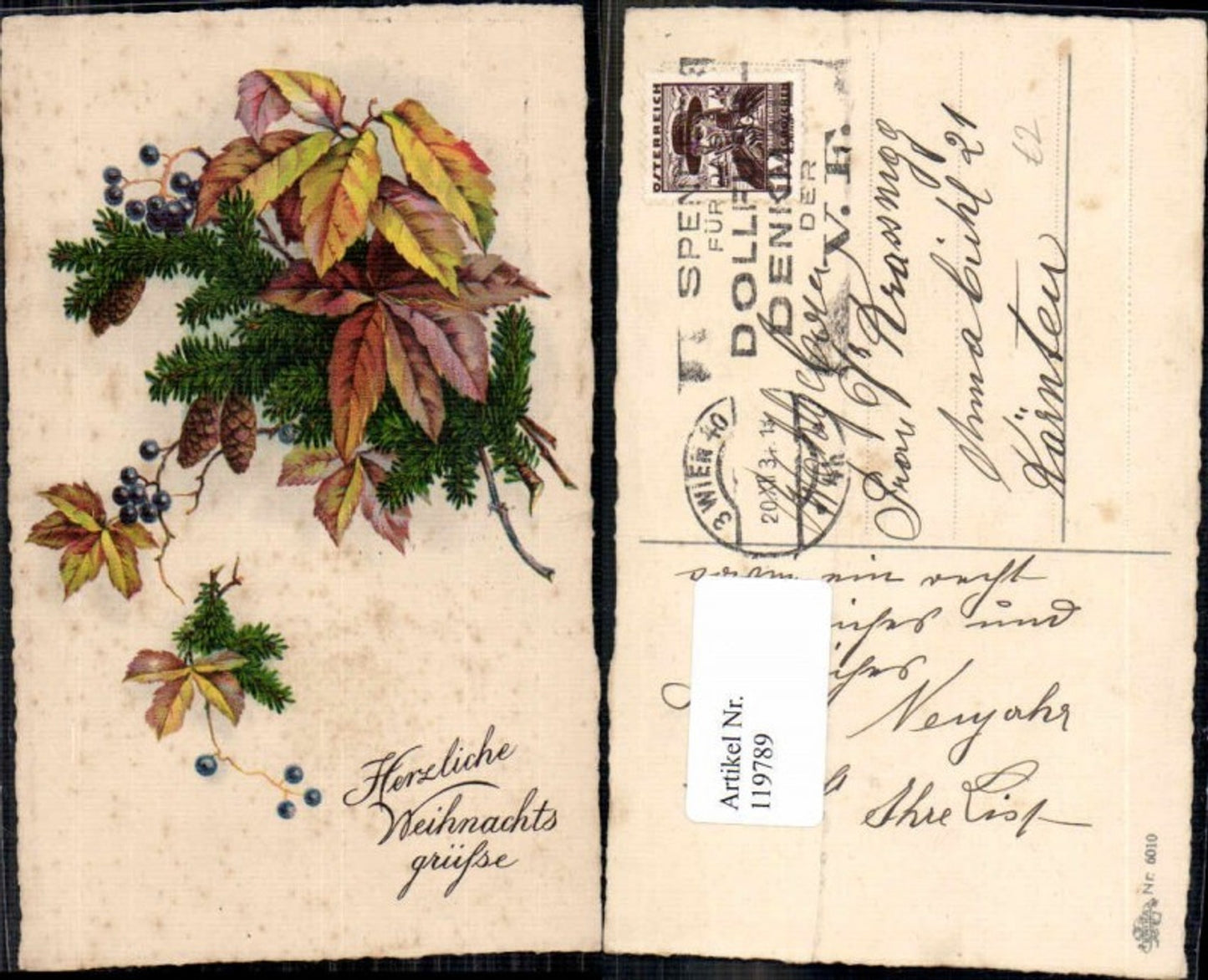 119789, Christmas fir branches pine cones pub Erika 6010