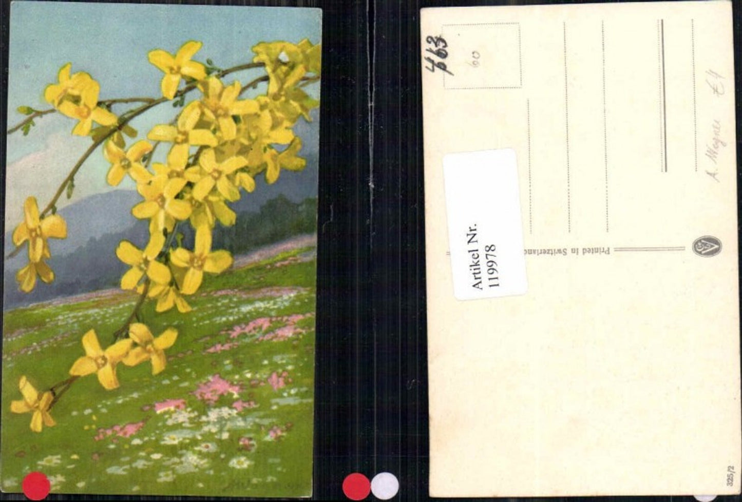 119978,A. Wagner Strauch Blüten Wiese