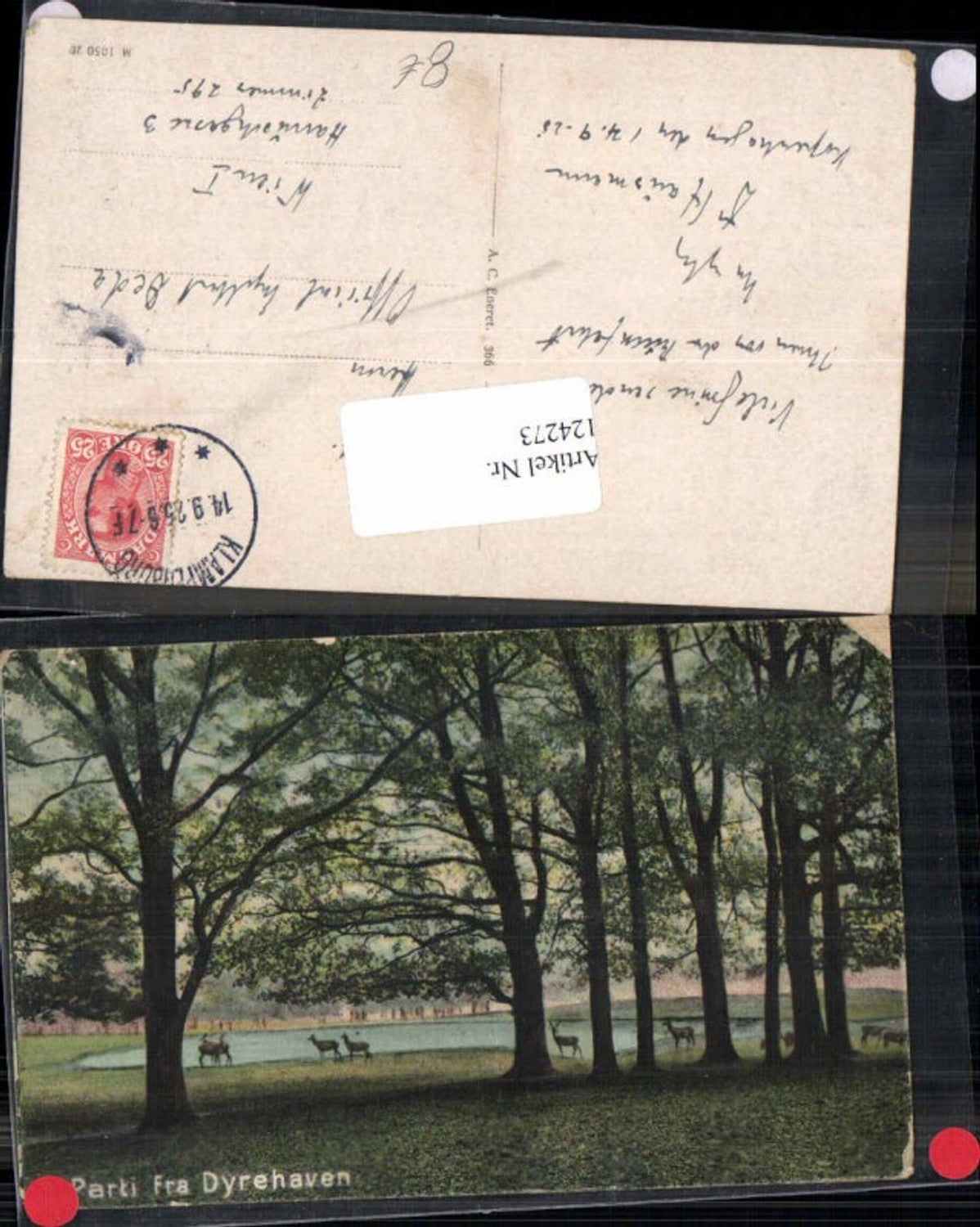 124273,Parti Fra Dyrehaven 1925 Kopenhagen Kobenhavn