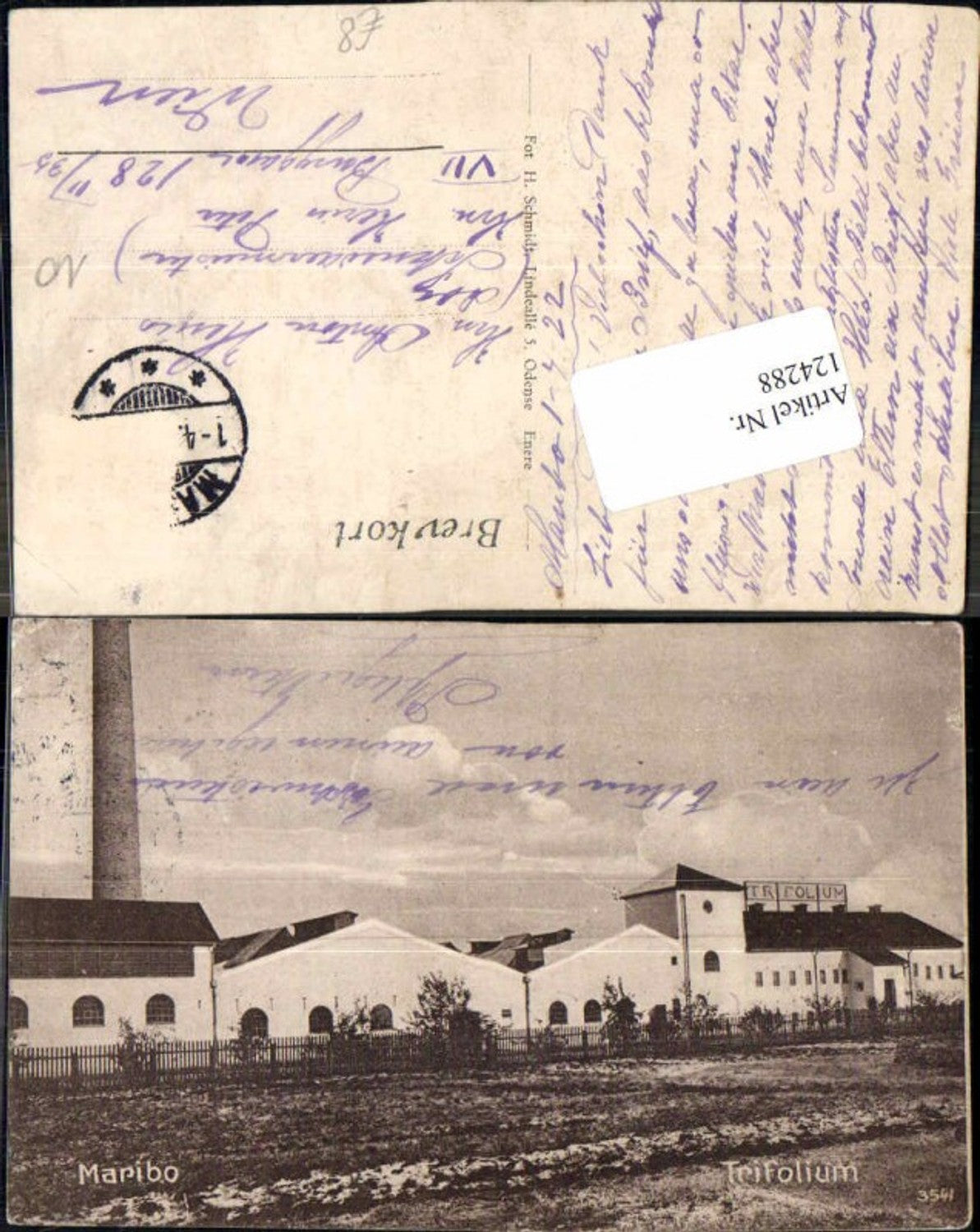 124288,Maribo Trifolium