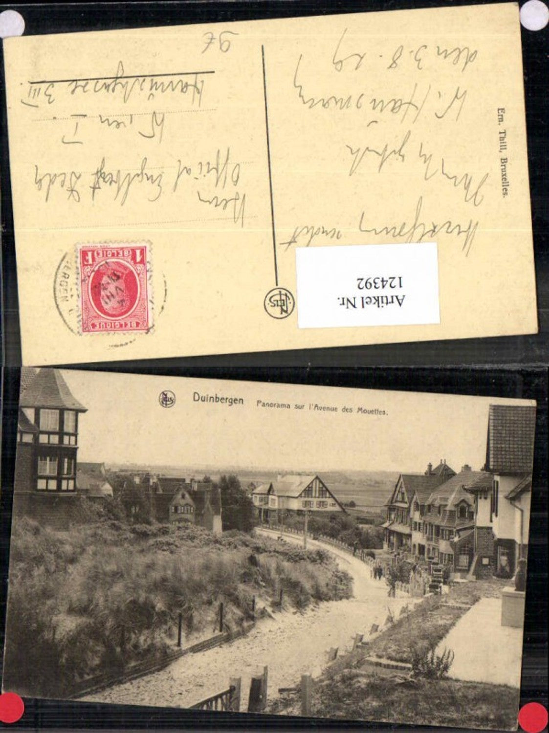 124392,Duinbergen Panorama sur Avenue Mouettes