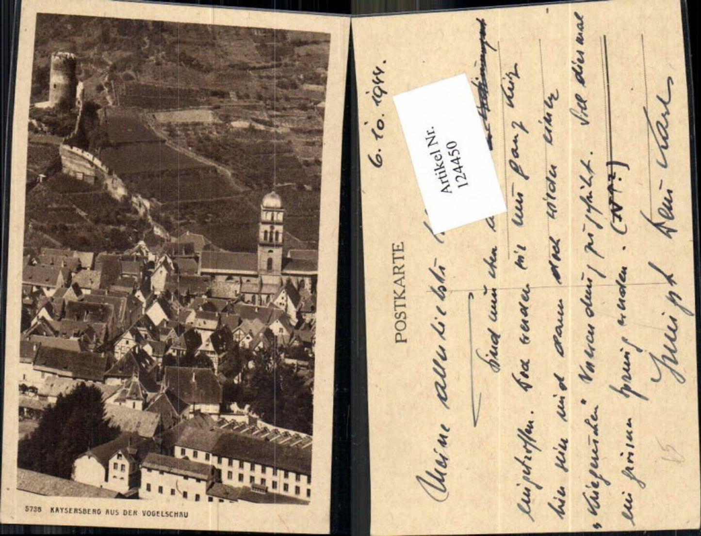 124450,Kaysersberg aus der Vogelschau