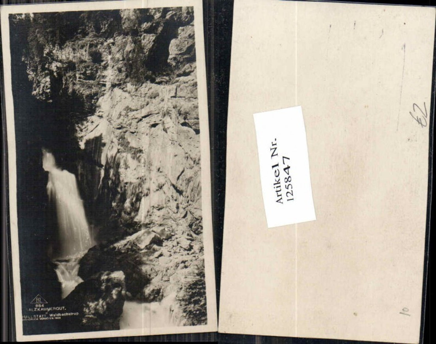 125847,Hallstatt Waldbachstrub