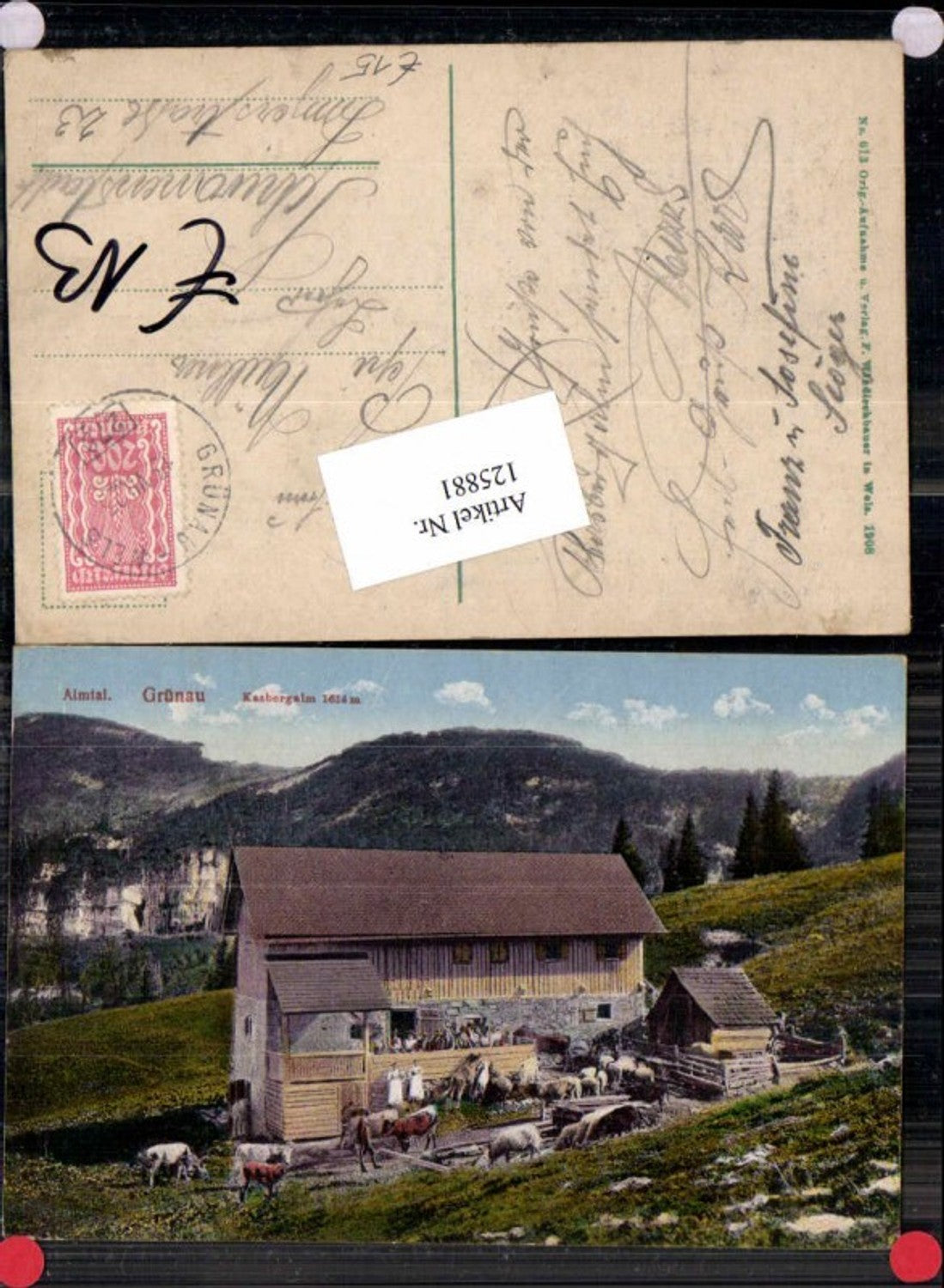 125881,Almtal Grünau am Almsee Kasbergalm m. Schafe Alpe 1907