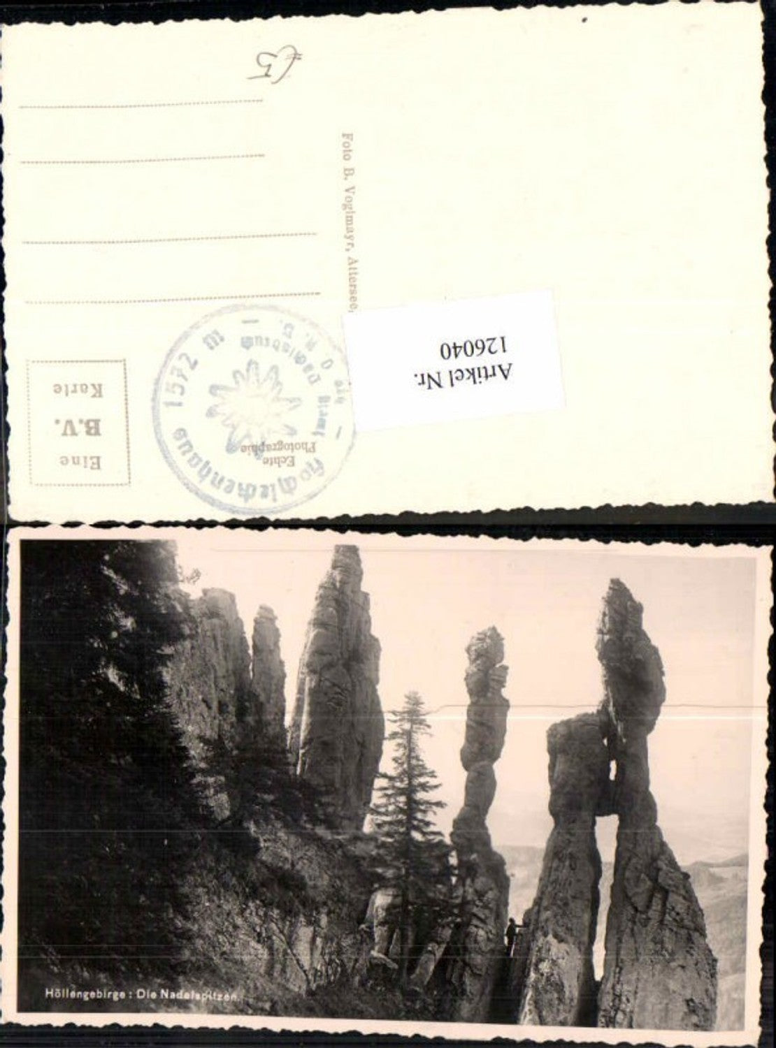 126040,Höllengebirge bei Ebensee am Traunsee Die Nadelspitzen