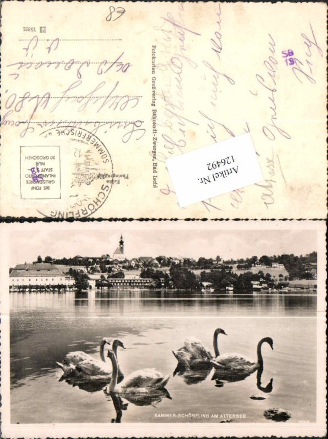 126492,Kammer Schörfling am Attersee m. Schwäne Schwan