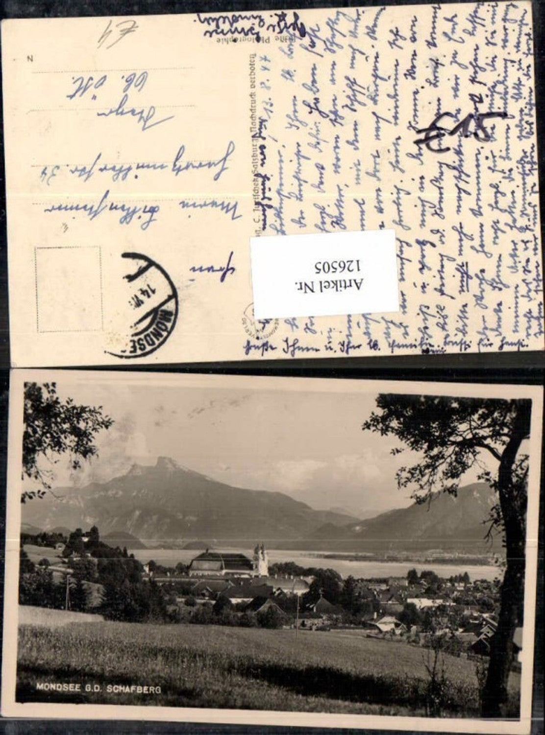 126505,Mondsee gegen Schafberg