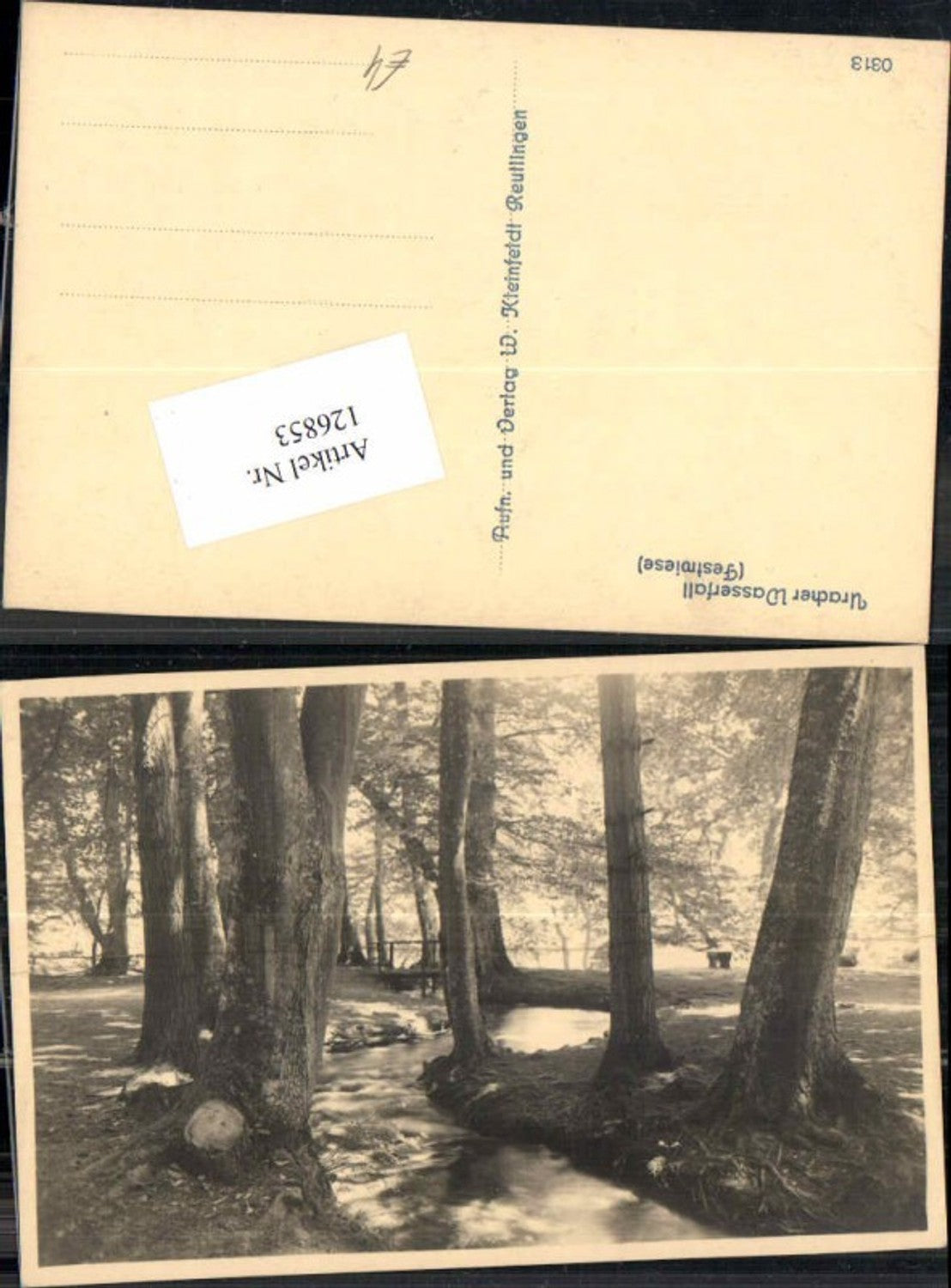 126853,Uracher Wasserfall Urach Festwiese 1930 Reutlingen