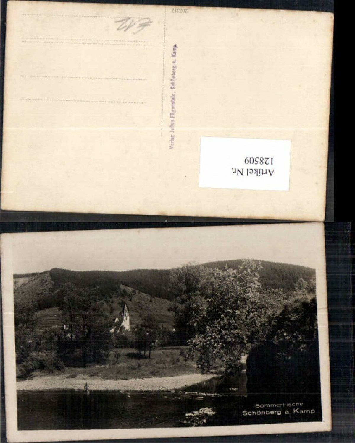 128509,Schönberg am Kamp Ortsansicht 1930
