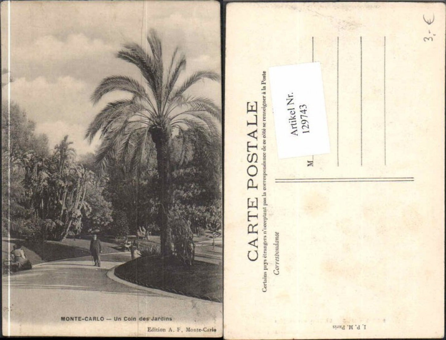 129743,Monte Carlo Un Coin des Jardins Palme Strassenansicht