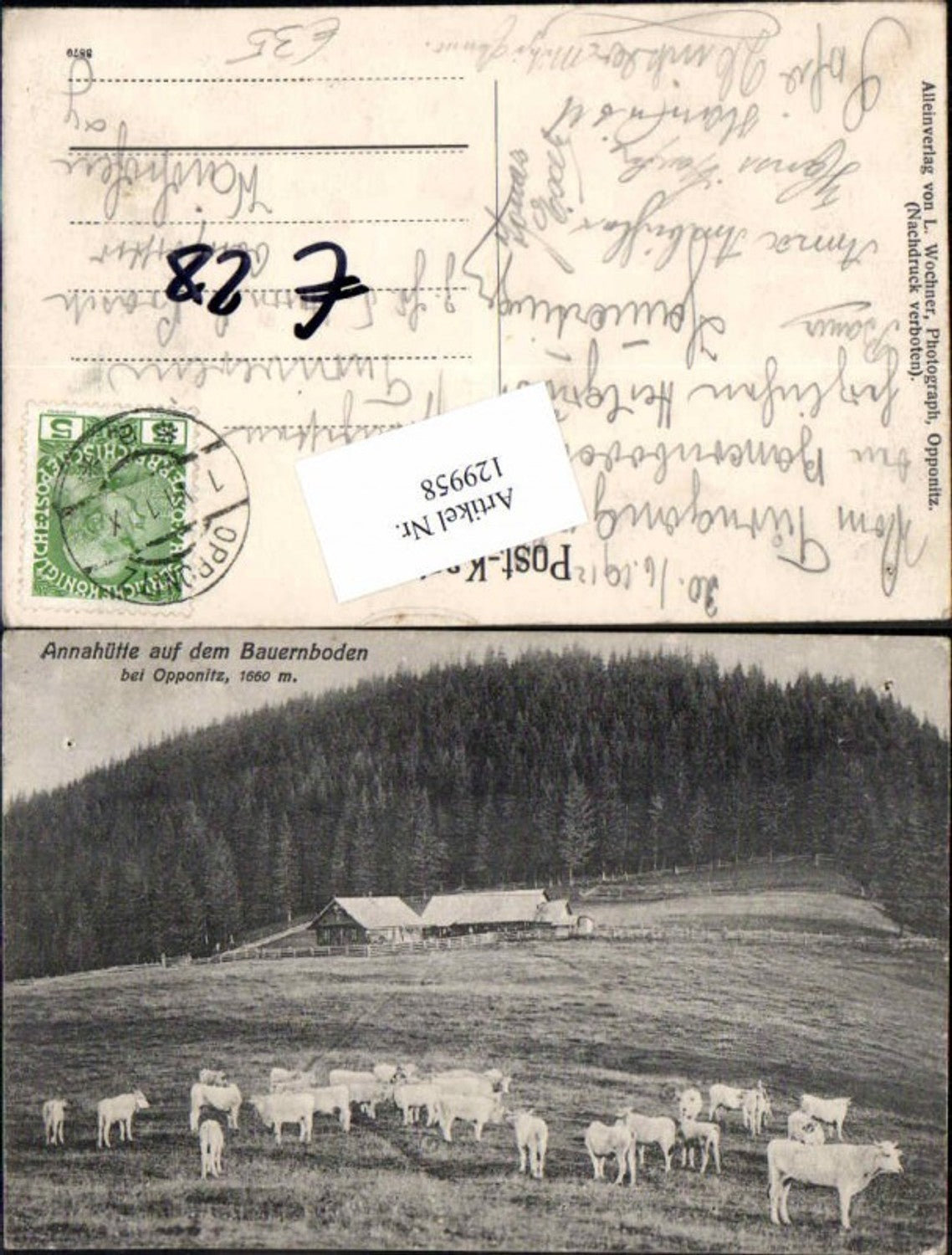 129958,Annahütte auf d. Bauernboden bei Opponitz Rinder Kühe 1915
