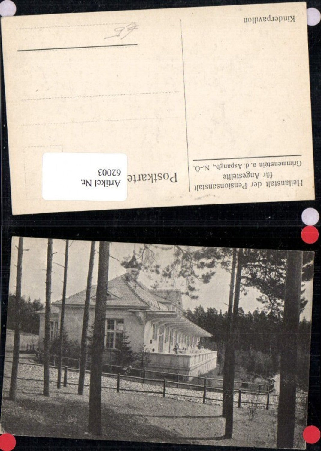 62003,Foto AK Grimmenstein a.d. Aspangbahn Heilanstalt der PVA