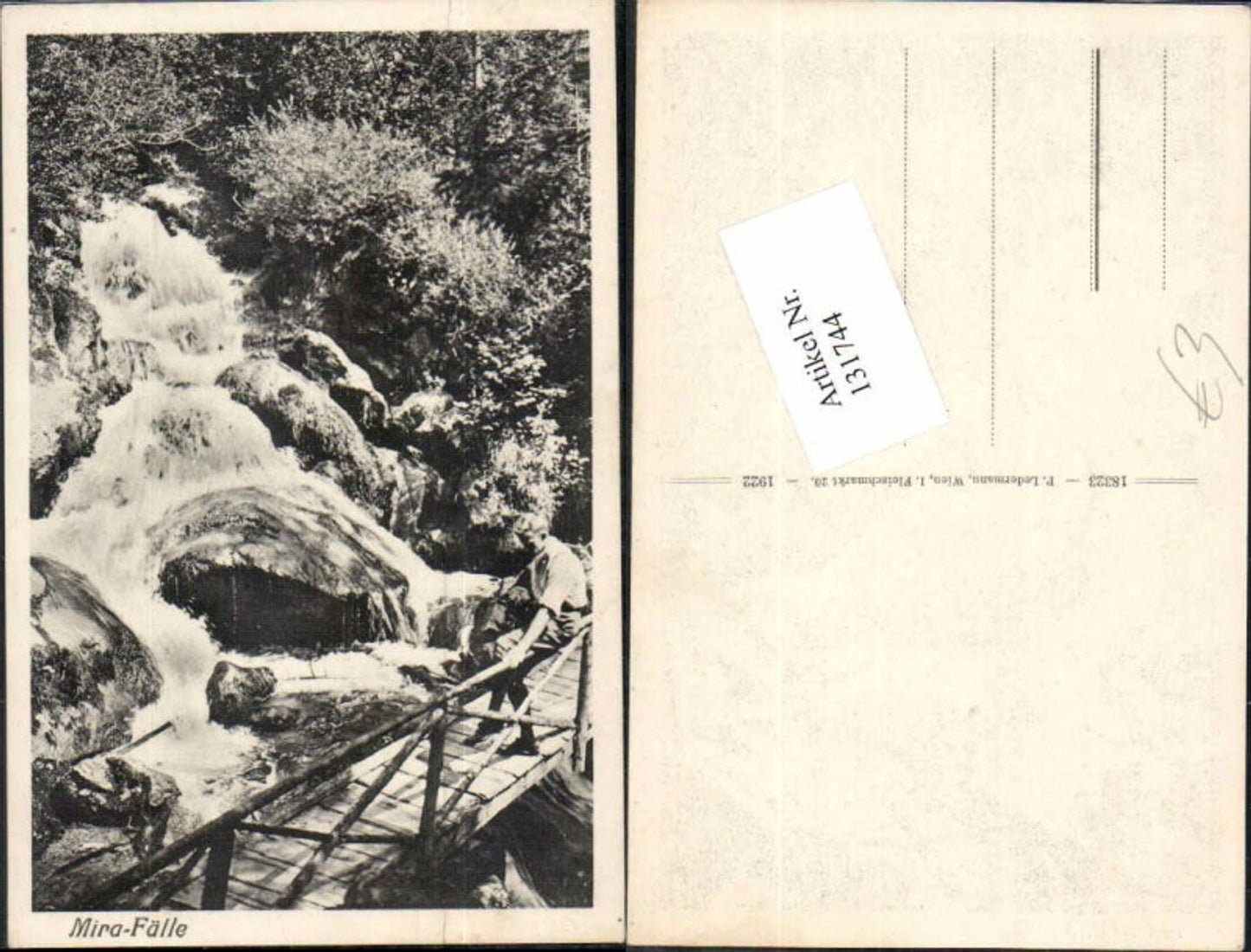 131744,Mirafall Mirafälle bei Pernitz Muggendorf Weissenbach a.d. Triesting