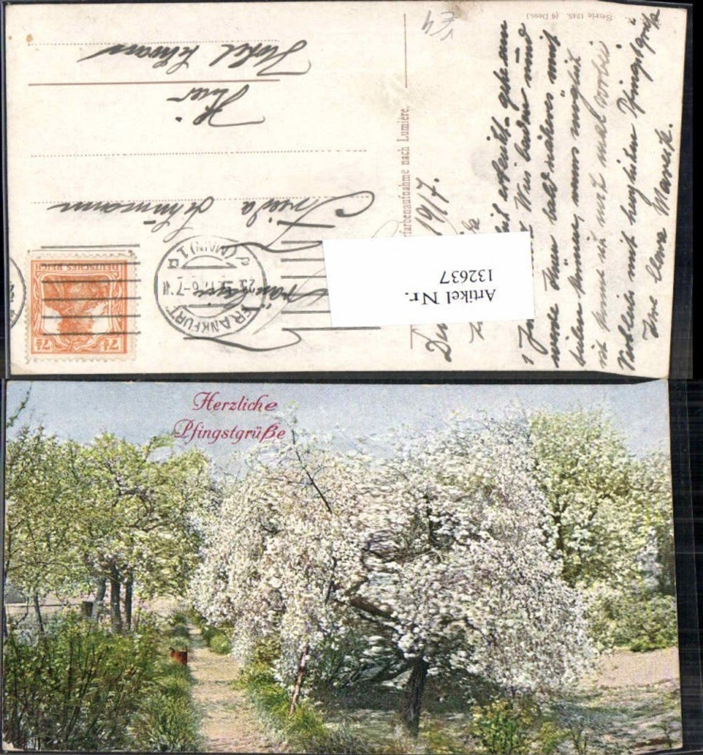 132637,Theo Stroefer 1345 Pfingsten Blumen