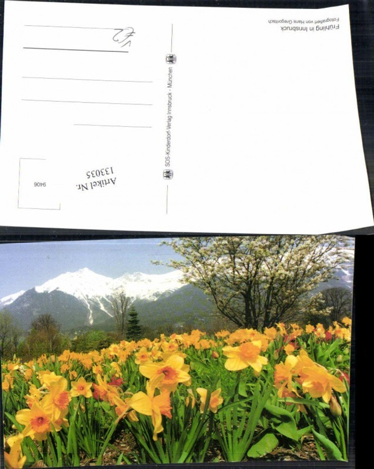 133035,SOS Kinderdorf 9406 Innsbruck