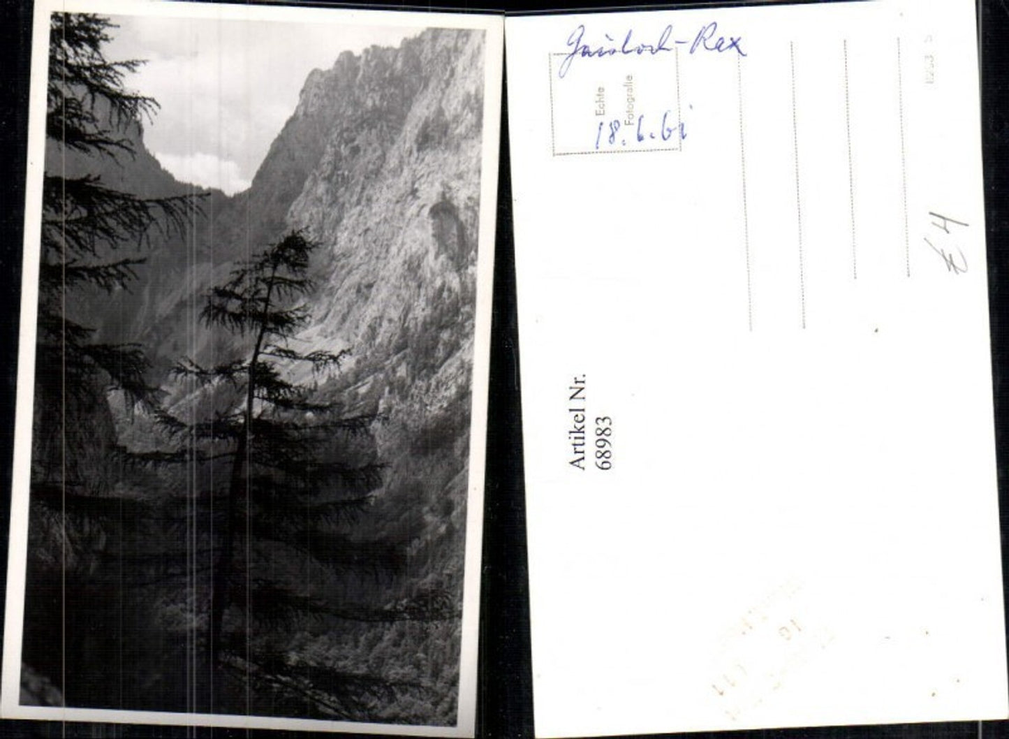 68983,Foto AK Gaisloch Rax Reichenau