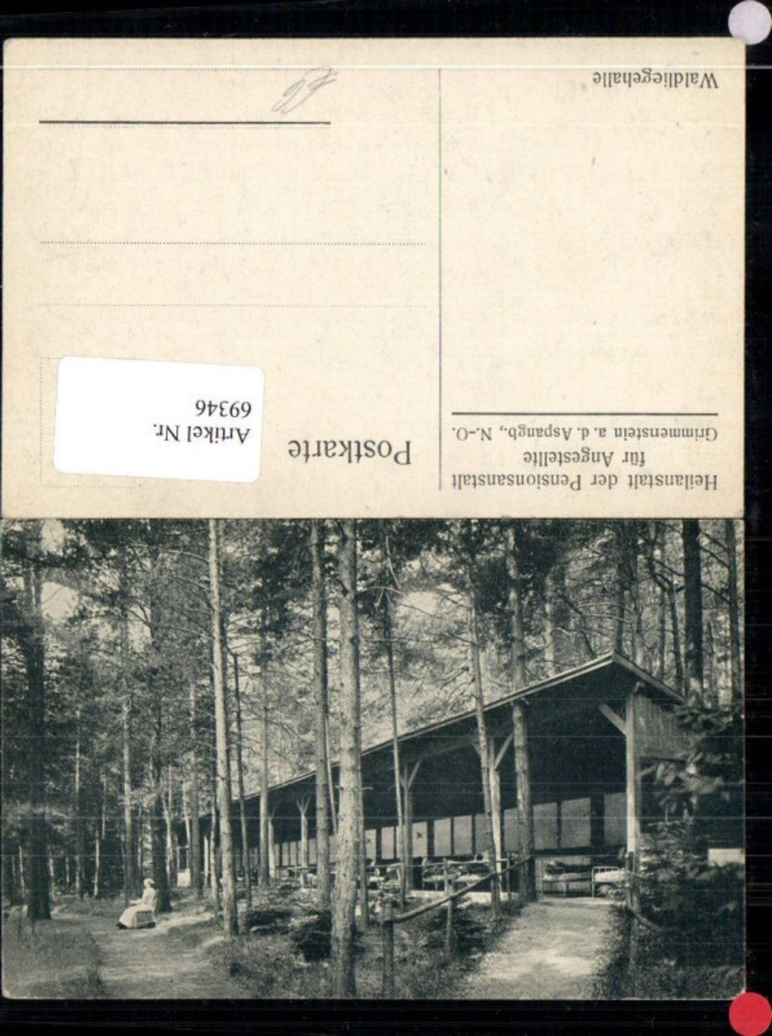 69346,Waldliegehalle d. Heilanstalt Grimmenstein a.d. Aspangbahn