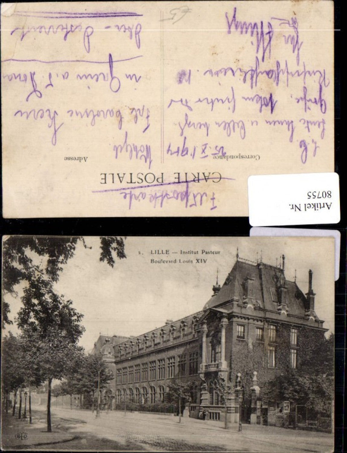 80755,Lille Institut Pasteru Boulevard Louis XIV