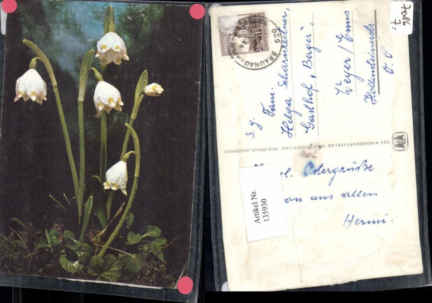 135930,SOS Kinderdorf Blumen