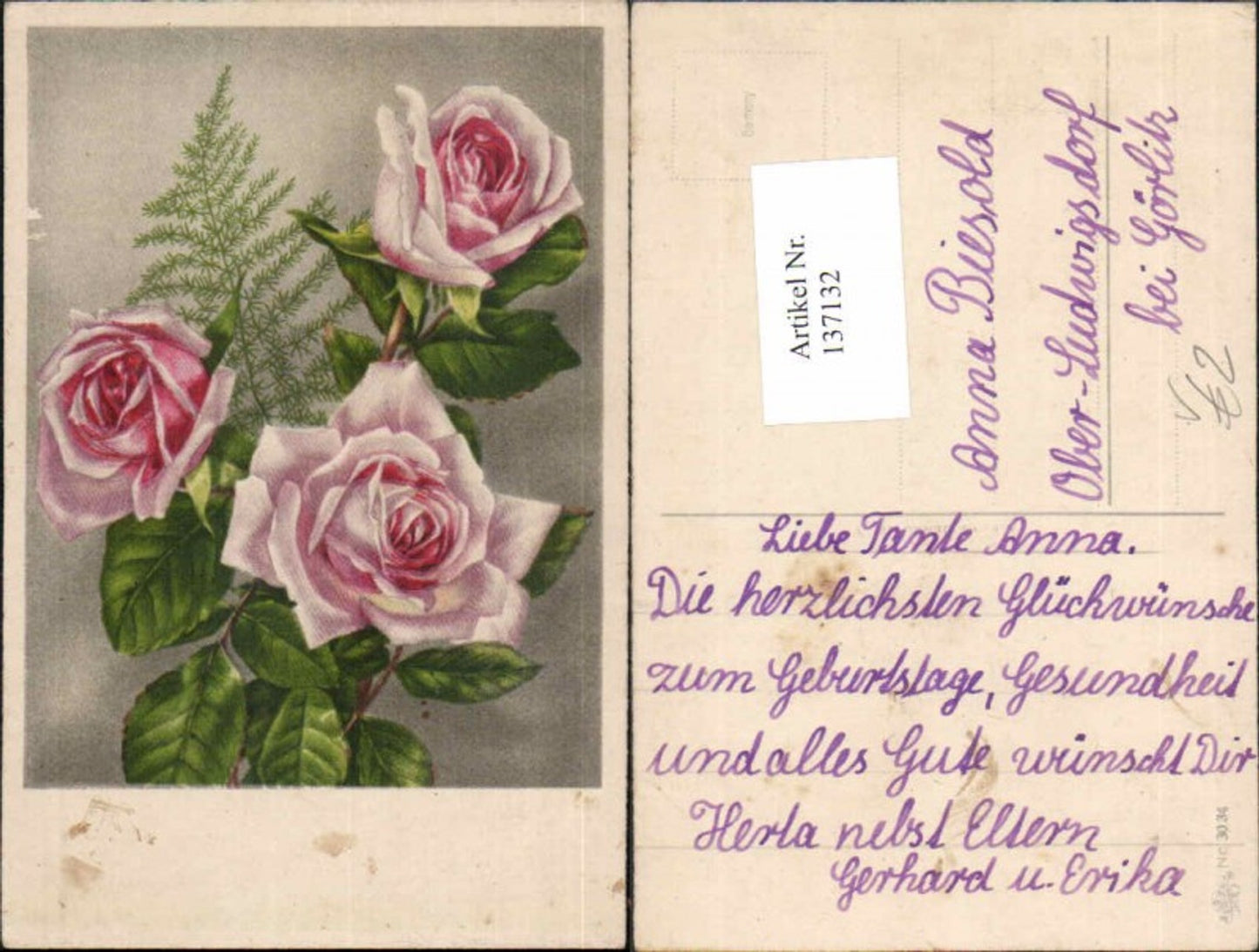 137132, Flowers Roses pub Erika 3034