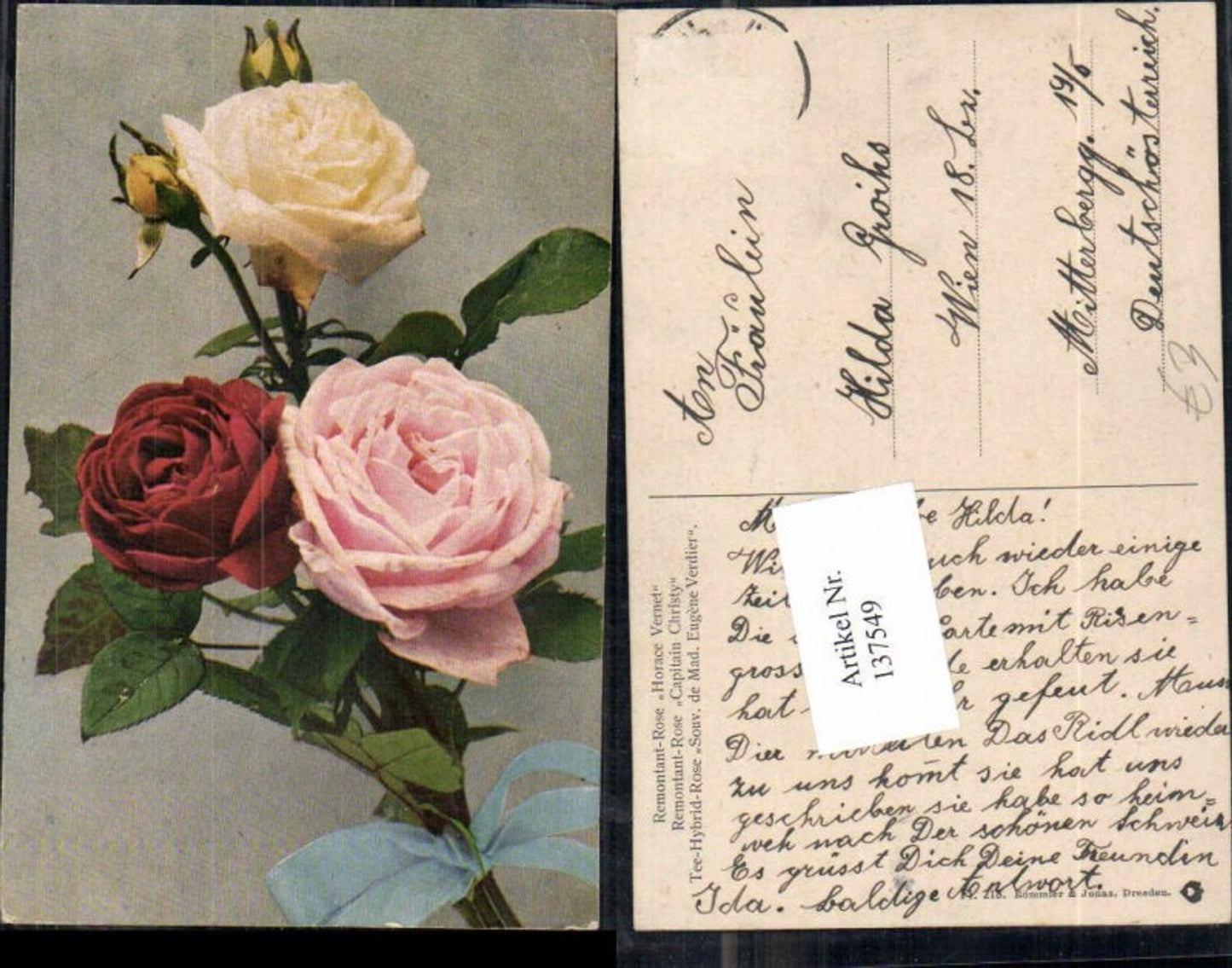 137549, Flowers Roses Remontant Rose