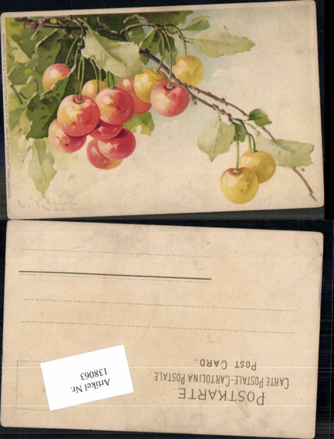 138063,Catharina Klein Obst Früchte Kirschen pub Meissner & Buch 1309