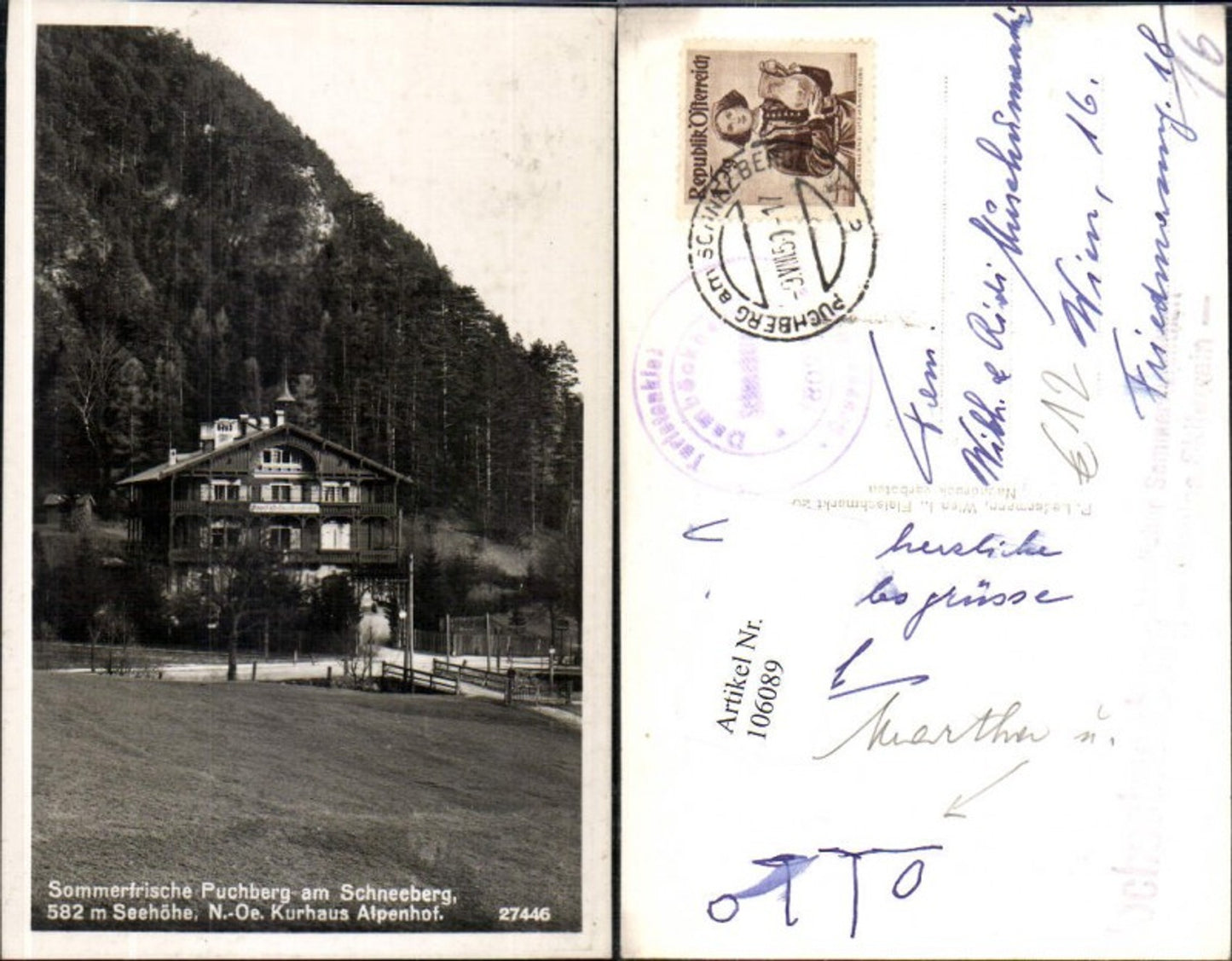 106089, Summer resort Puchberg am Schneeberg Kurhaus Alpenhof (detailed view)