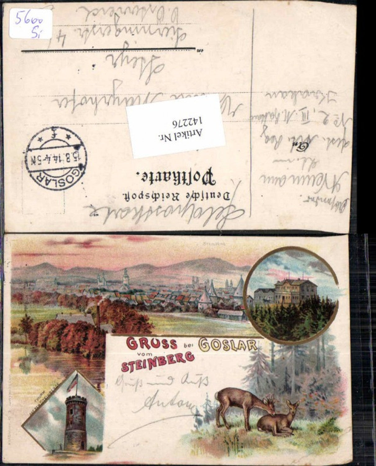 142276,Tolle Litho Gruss vom Steinberg bei Goslar am Harz Thurm 1895