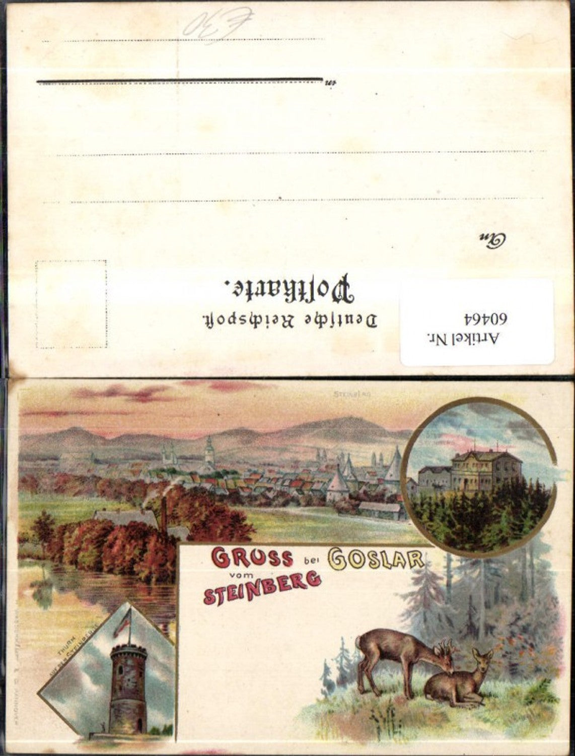 60464,Litho Gruß vom Steinberg bei Goslar Mehrbildkarte Thurm auf dem Steinberg Hotel Steinberg
