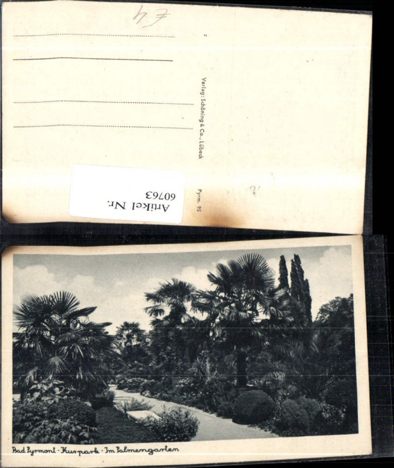 60763,Bad Pyrmont Kurpark Im Palmengarten Ansicht