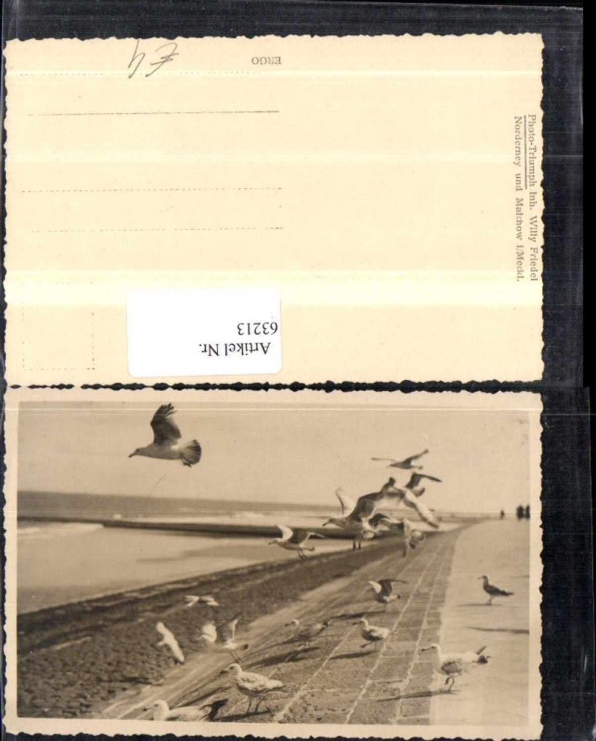 63213,Norderney u Malchow i Mecklenburg Ansicht Ufer mit Vögeln