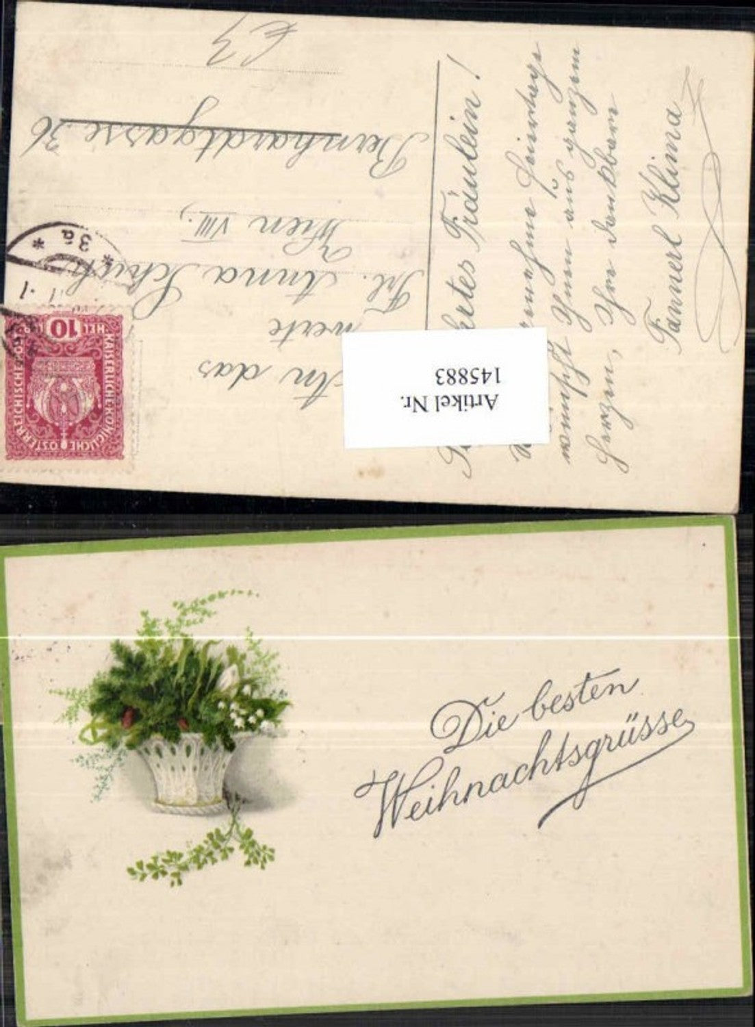 145883, Christmas flowers