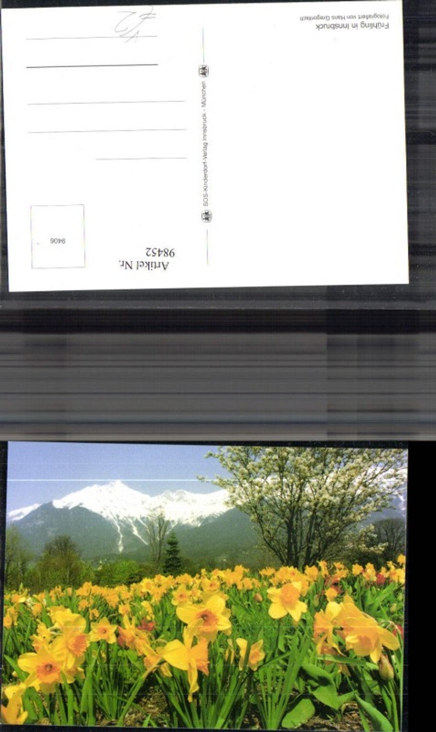 98452,SOS Kinderdorf 9406 Frühling in Innsbruck Narzissen