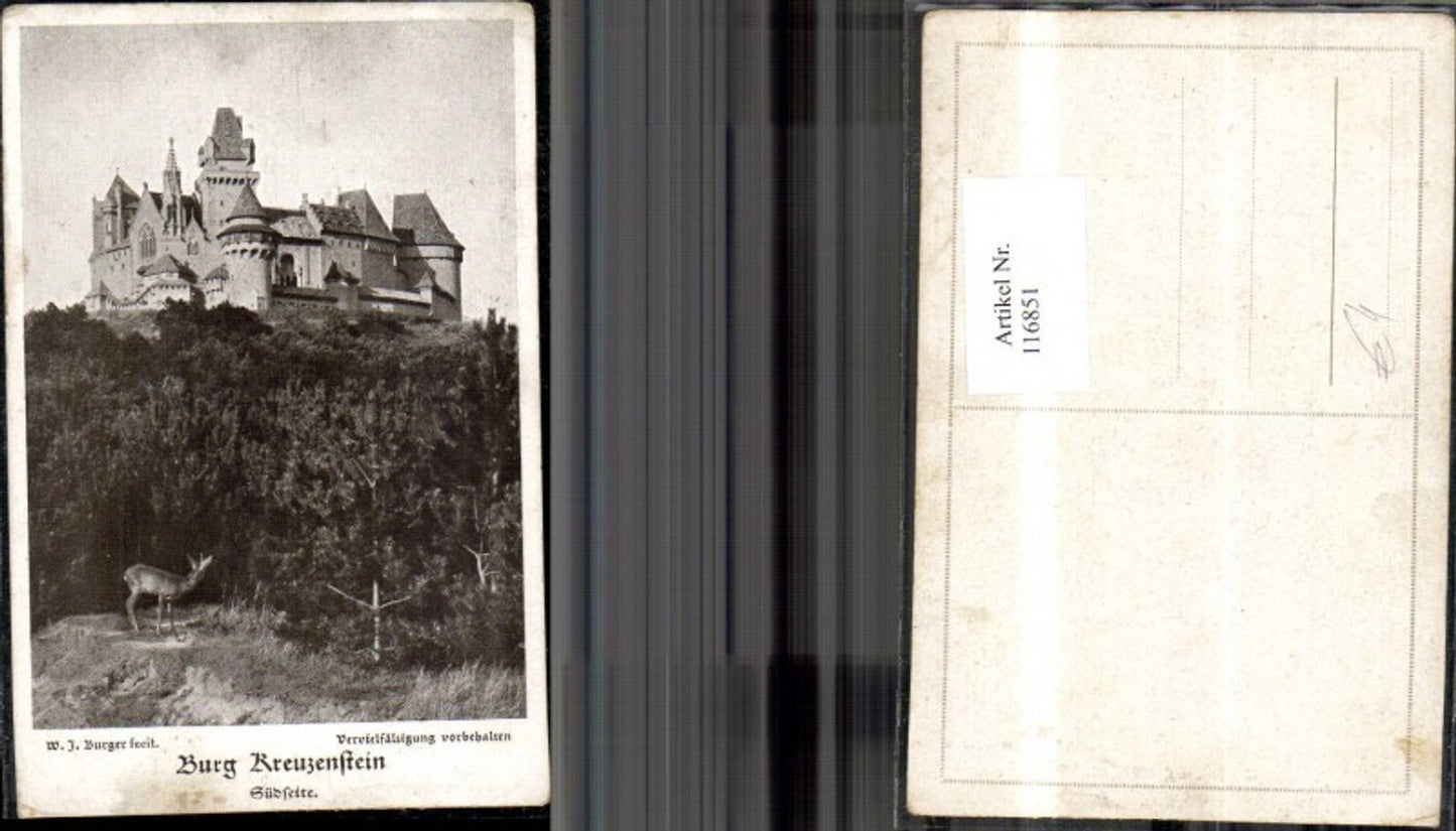 116851,Burg Kreuzenstein Südseite Reh i. Vordergrund