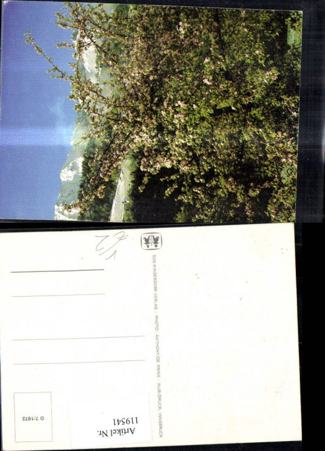 119541, SOS Children's Village Tree Blossom O 7/1972