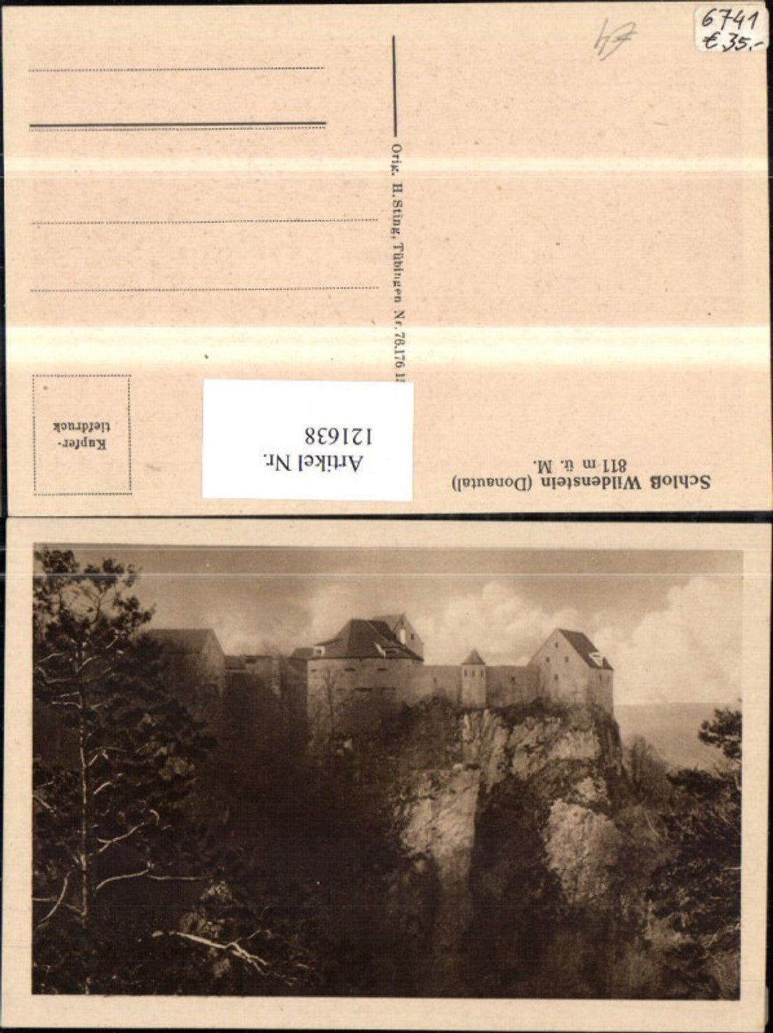 121638,Donautal Schloss Wildenstein Ansicht