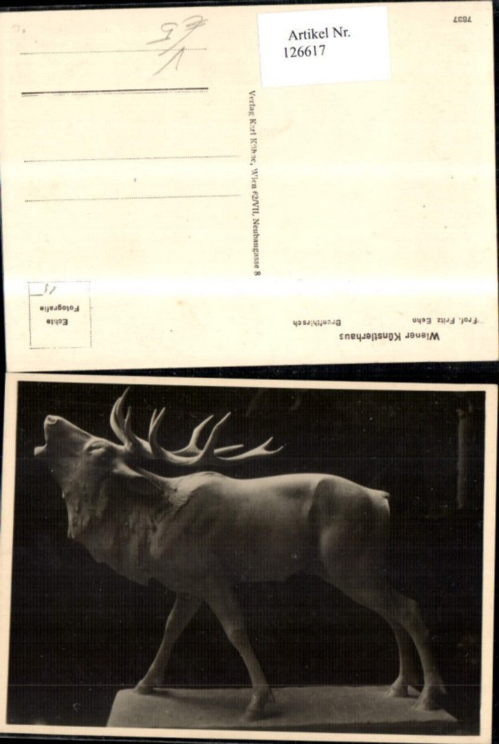 126617,Wiener Künstlerhaus 7837 Brunfthirsch